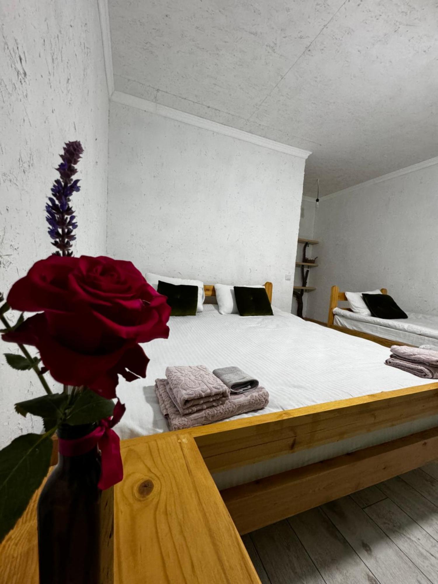 Eco Village Lodge Dzhetyoguz Luaran gambar